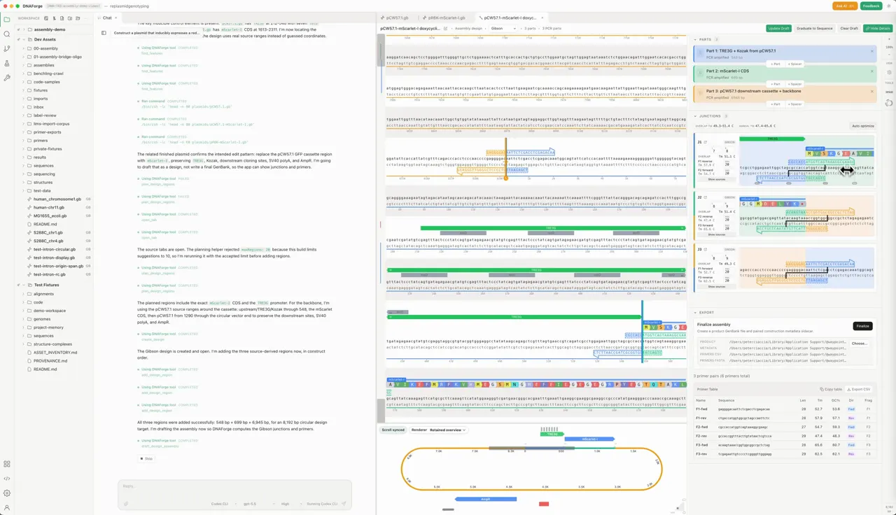 DNAForge assembly planning workflow with primer and construct context